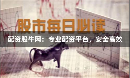 配资股牛网：专业配资平台，安全高效